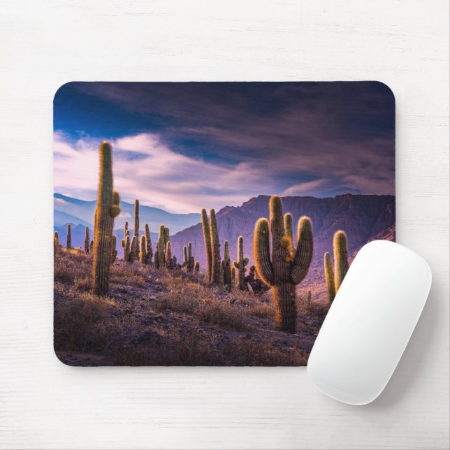 Deserts | Cactus Landscape Argentina Mouse Mat (With Mouse)