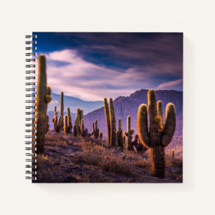 Deserts Cactus Landscape Argentina Notebook