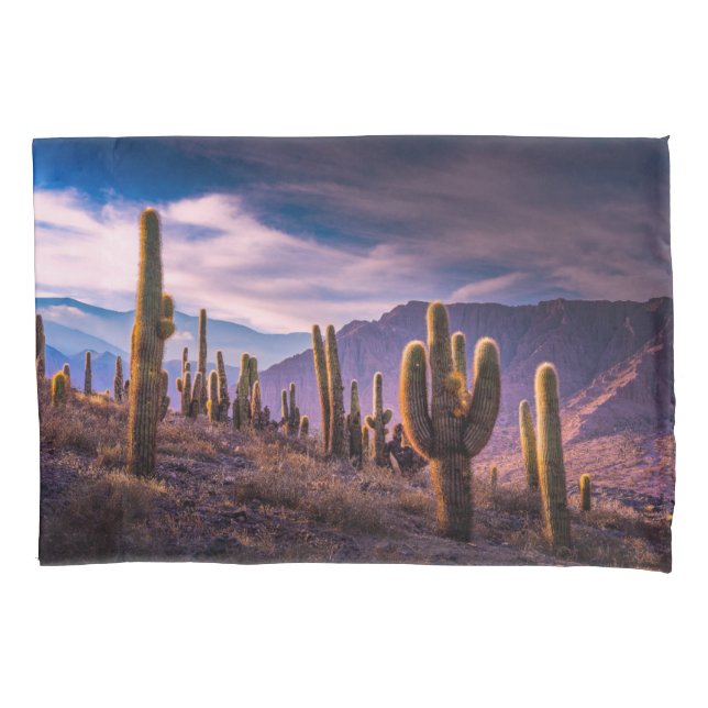 Deserts | Cactus Landscape Argentina Pillowcase (Front)