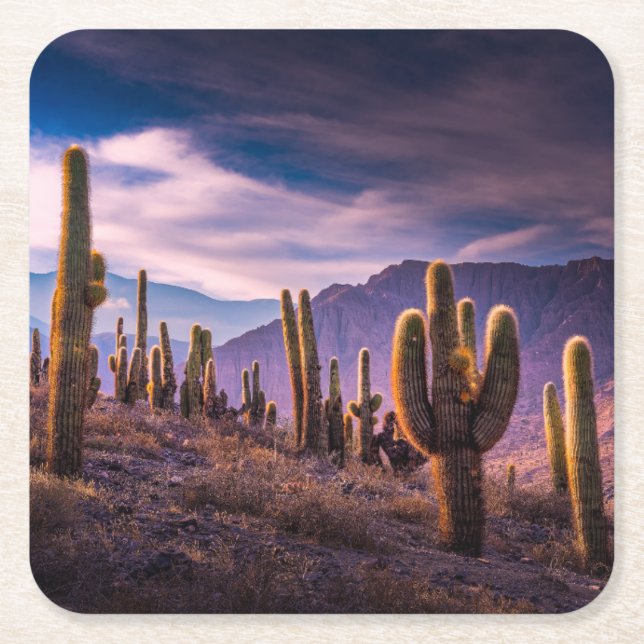 Deserts | Cactus Landscape Argentina Square Paper Coaster (Front)