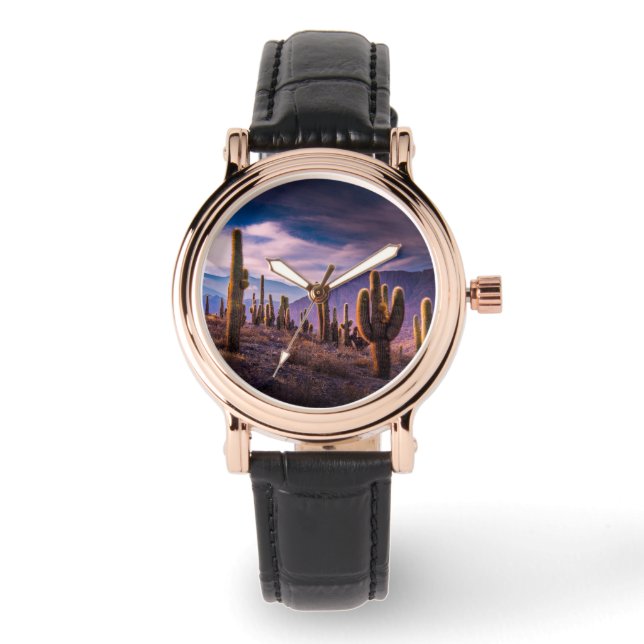 Deserts | Cactus Landscape Argentina Watch (Front)