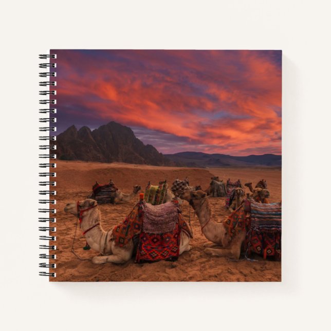 Deserts | Camels Sinai Mountains Egypt Notebook (Front)