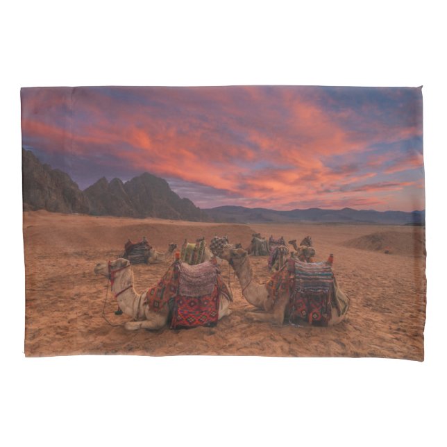 Deserts | Camels Sinai Mountains Egypt Pillowcase (Front)