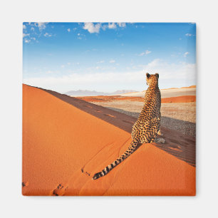 Deserts Cheetah Savannah Desert Magnet
