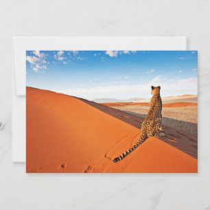 Deserts   Cheetah Savannah Desert Thank You Card