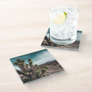 Deserts Cholla Cactus Glass Coaster