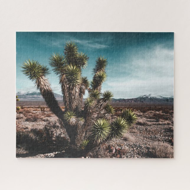 Deserts | Cholla Cactus Jigsaw Puzzle (Horizontal)