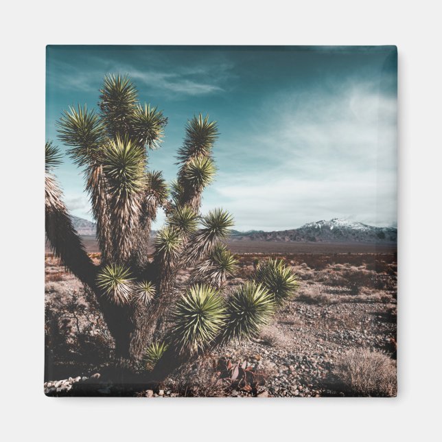 Deserts | Cholla Cactus Magnet (Front)