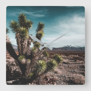 Deserts   Cholla Cactus Square Wall Clock