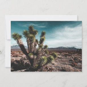 Deserts   Cholla Cactus Thank You Card