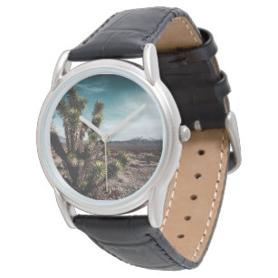Deserts   Cholla Cactus Watch