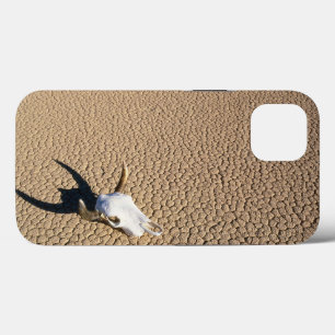 Deserts   Cow Skull on the Desert Ground iPhone 13 Case