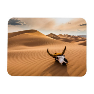 Deserts   Cow Skull Rippled Sand Dunes Magnet