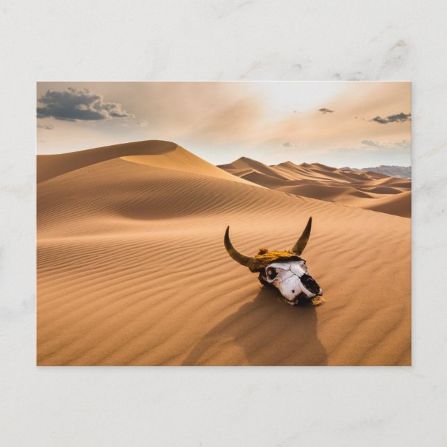 Deserts | Cow Skull Rippled Sand Dunes Postcard (Front)