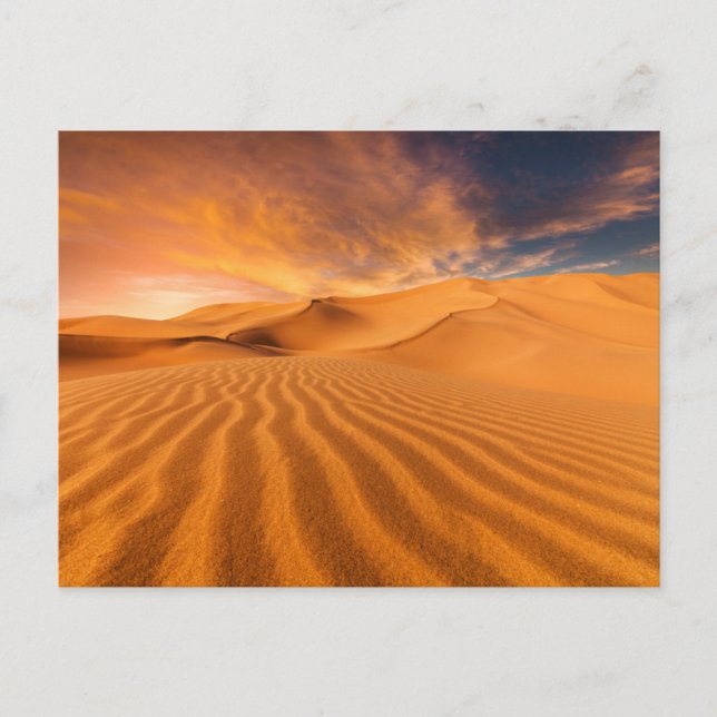 Deserts | Desert in the United Arab Emirates Postcard (Front)