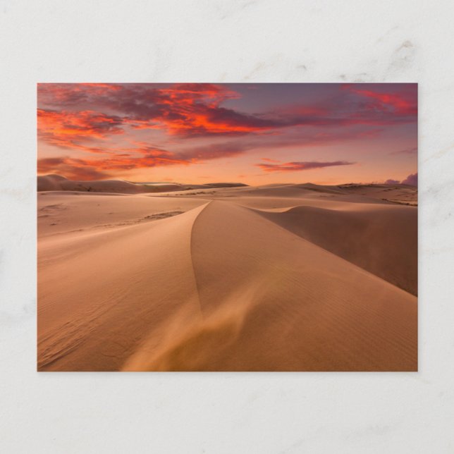 Deserts | Desert United Arab Emirates Postcard (Front)