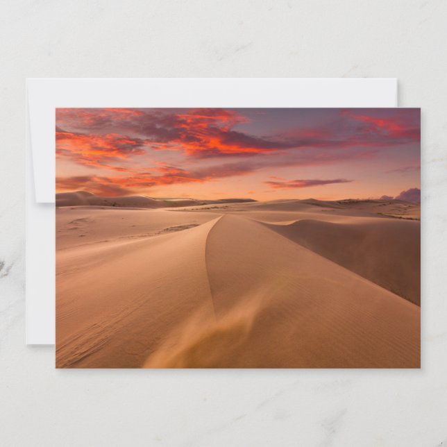 Deserts | Desert United Arab Emirates Thank You Card (Front)