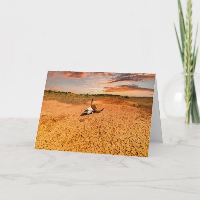 Deserts | Desert with Cow Skull Card (Front)