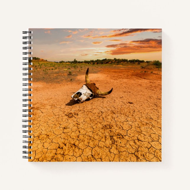 Deserts | Desert with Cow Skull Notebook (Front)