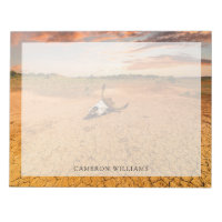 Deserts | Desert with Cow Skull