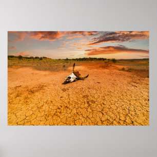 Deserts   Desert with Cow Skull Poster
