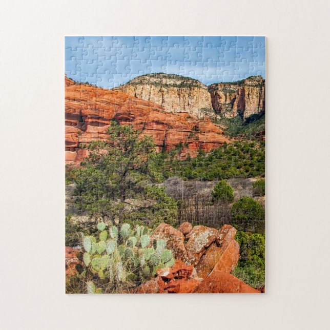Deserts in the United States Scenic Puzzles Desert (Vertical)