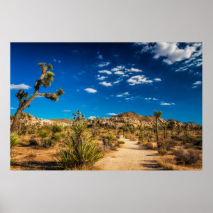 Deserts   Joshua Tree National Park Poster