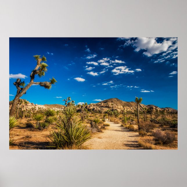 Deserts | Joshua Tree National Park Poster (Front)