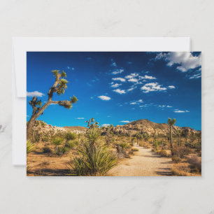 Deserts   Joshua Tree National Park Thank You Card