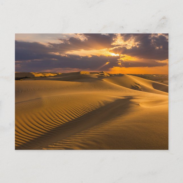 Deserts | Landscape of Sand Dunes Postcard (Front)