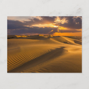 Deserts Landscape of Sand Dunes Postcard