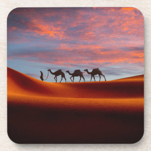 Deserts Man & Camels in the Sand Dunes Coaster