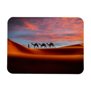 Deserts   Man & Camels in the Sand Dunes Magnet