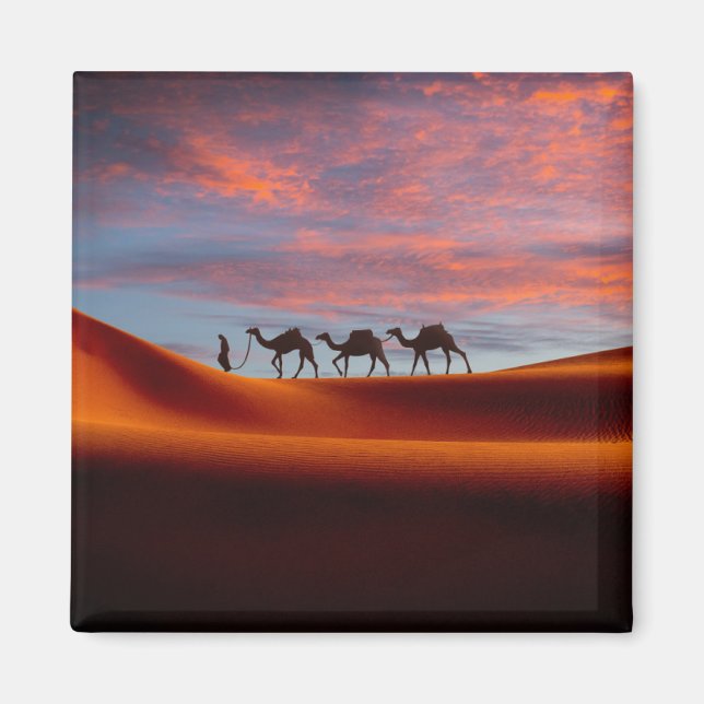 Deserts | Man & Camels in the Sand Dunes Magnet (Front)