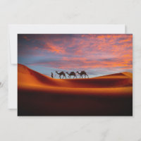 Deserts | Man & Camels in the Sand Dunes