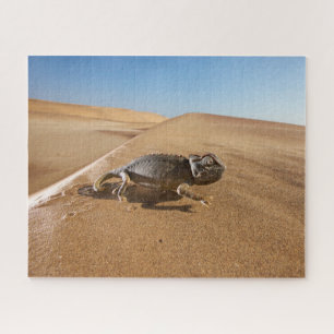 Deserts   Namaqua Chameleon in Desert Jigsaw Puzzle