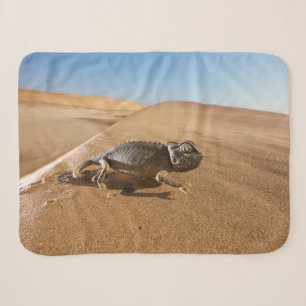 Deserts Namaqua Chameleon in Desert Sherpa Blanket