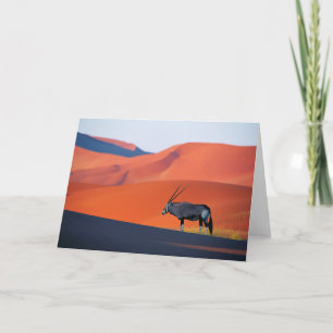 Deserts Namib Desert Oryx Card