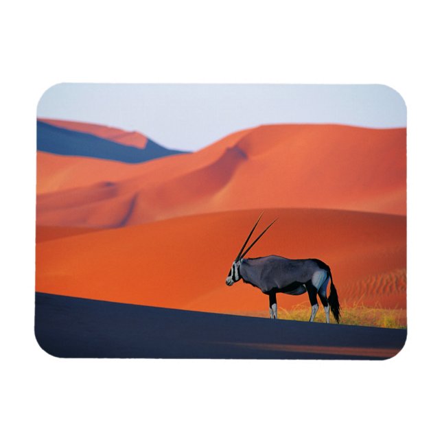 Deserts | Namib Desert Oryx Magnet (Horizontal)