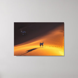 Deserts   Namib Naukluft National Park Kenya Canvas Print
