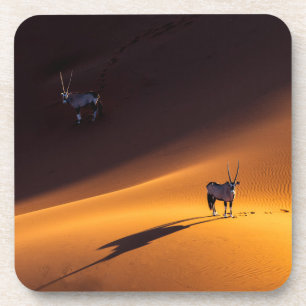 Deserts Namib Naukluft National Park Kenya Coaster