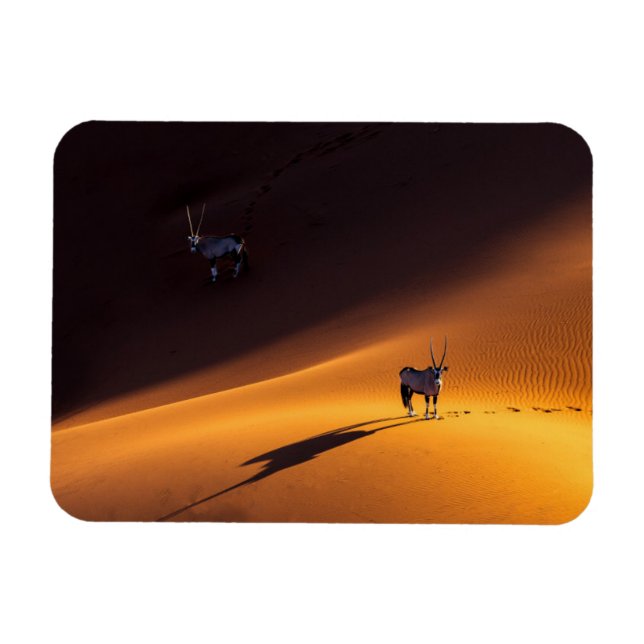 Deserts | Namib Naukluft National Park Kenya Magnet (Horizontal)