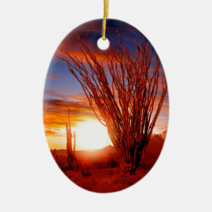 Deserts Ocotillo Sonora Arizona Ceramic Tree Decoration