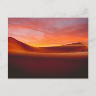 Deserts   Rolling Desert Landscape Postcard