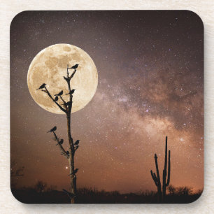 Deserts   Saguaro Cactus With Birds in Desert Coaster