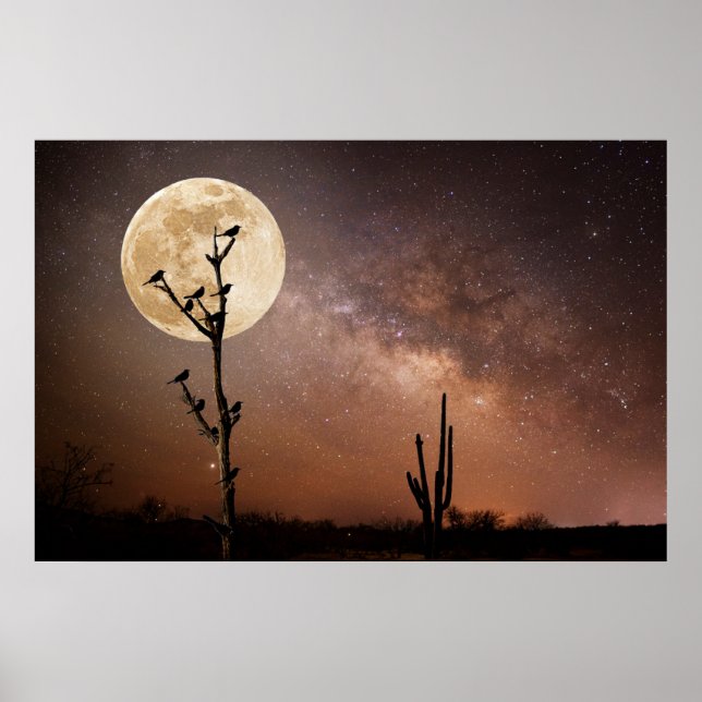 Deserts | Saguaro Cactus With Birds in Desert Poster (Front)
