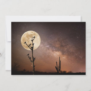 Deserts   Saguaro Cactus With Birds in Desert Thank You Card