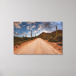 Deserts   Saguaro National Park Arizona Canvas Print