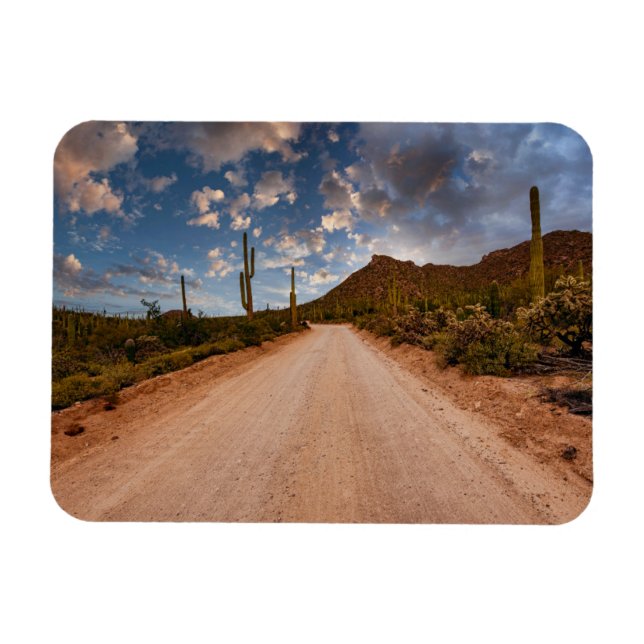 Deserts | Saguaro National Park Arizona Magnet (Horizontal)
