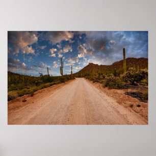 Deserts   Saguaro National Park Arizona Poster